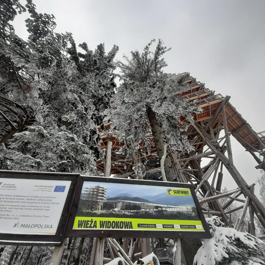 Willa Male Alpy 300 M Od Kompleksow Narciarskich Krynica Zdroj Exterior photo