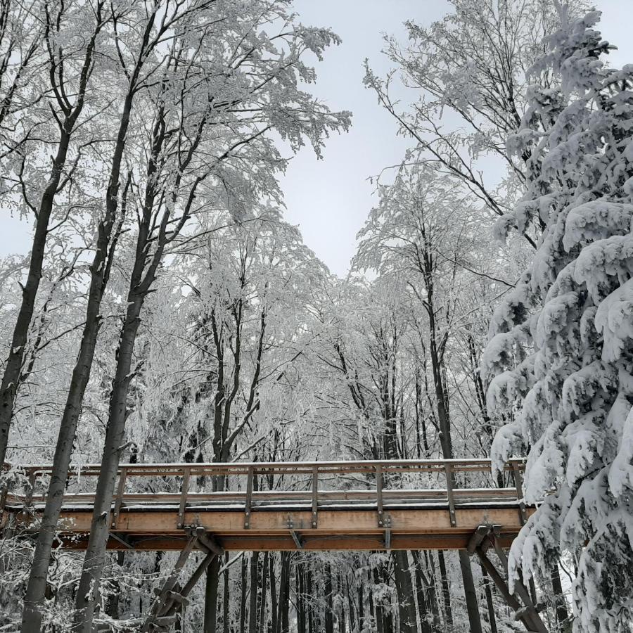 Willa Male Alpy 300 M Od Kompleksow Narciarskich Krynica Zdroj Exterior photo